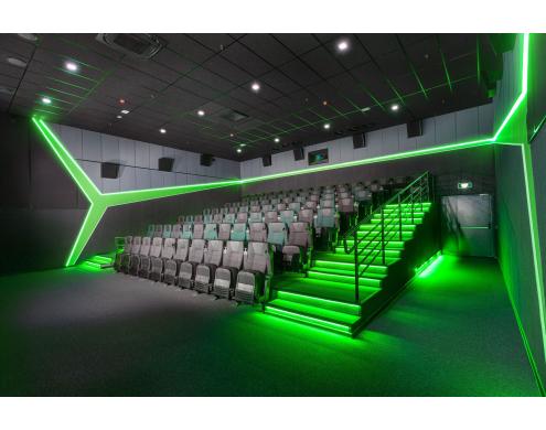 Acoustic Treatment of the Movie Theater Auditoriums